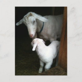 Cartão Postal Mãe com Cartão-Postal de Bebê