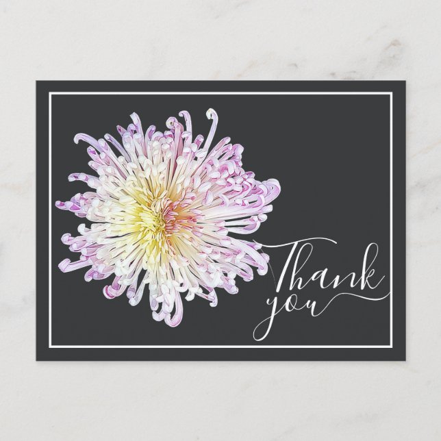 Cartão Postal Mãe de Aranha Rosa com Fundo Cinza Obrigado (Frente)