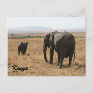 Cartão Postal mãe de elefante africano