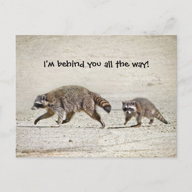 Cartão Postal Mãe e Bebê Raccoon (Frente)