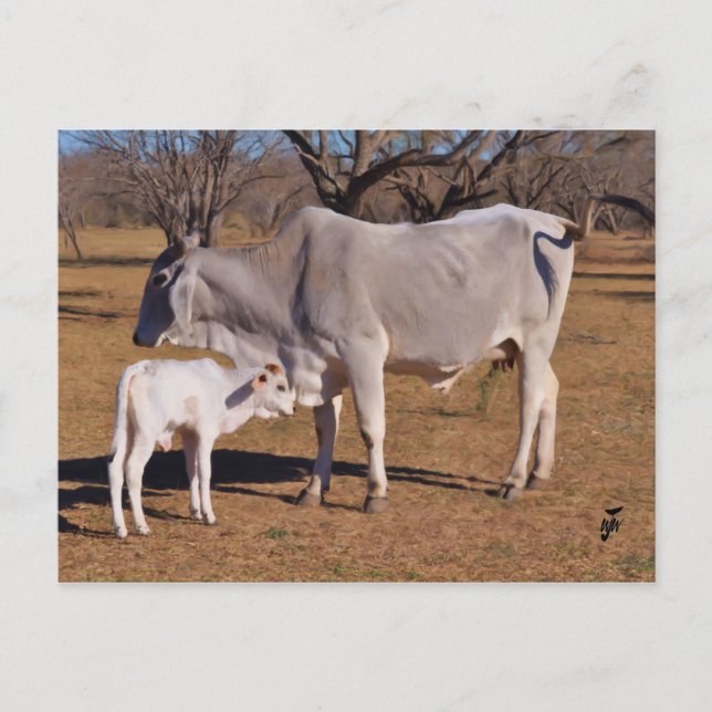 Cartão Postal Mãe e Filho (Frente)