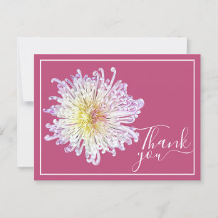 Cartão Postal Mãe Rosa De Aranha Com Fundo Cor-De-Rosa Obrigado