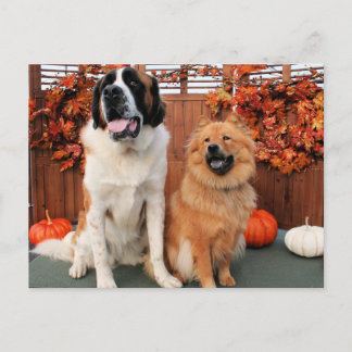 Cartão Postal Mae - Rua Bernard e Cinny - Chow Chow Photo-4