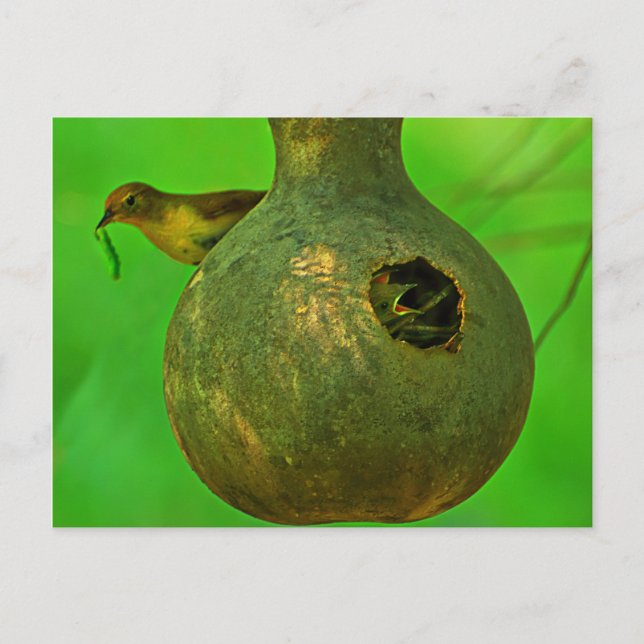 Cartão Postal Mãe, sei que está aqui (Frente)