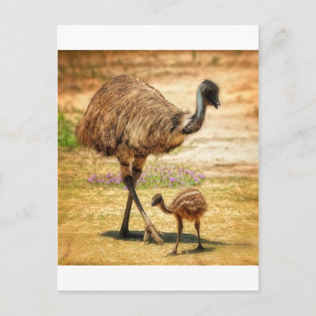 Cartão Postal Mãe vigiando seu bebê (Frente)