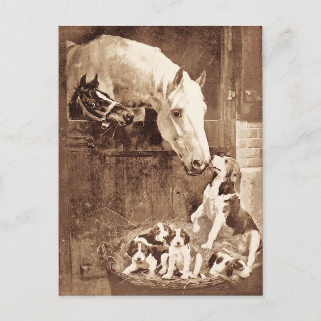 Cartão Postal Mães se saudando (Frente)