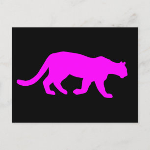 Cartão postal Magenta Cougar Puma Wildlife