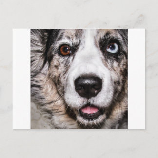 Cartão Postal Maggie