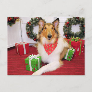 Cartão Postal Maggie - Collie - Donohoo