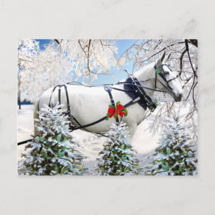 Cartão Postal "Magia ao Alcance"