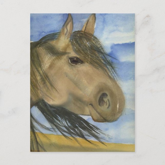 Cartão Postal Magic, Um Mustang Americano (Frente)