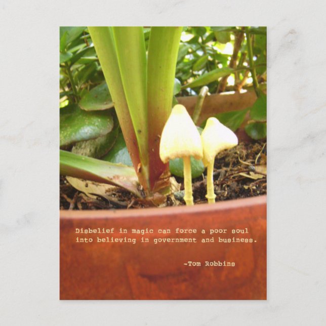 Cartão postal mágico (Frente)