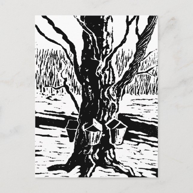 Cartão postal mágico Springtime (Frente)