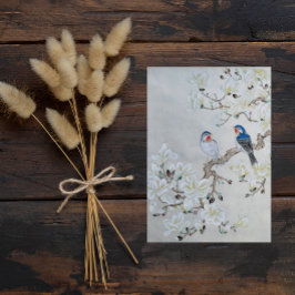 Cartão Postal Magnésia Branca