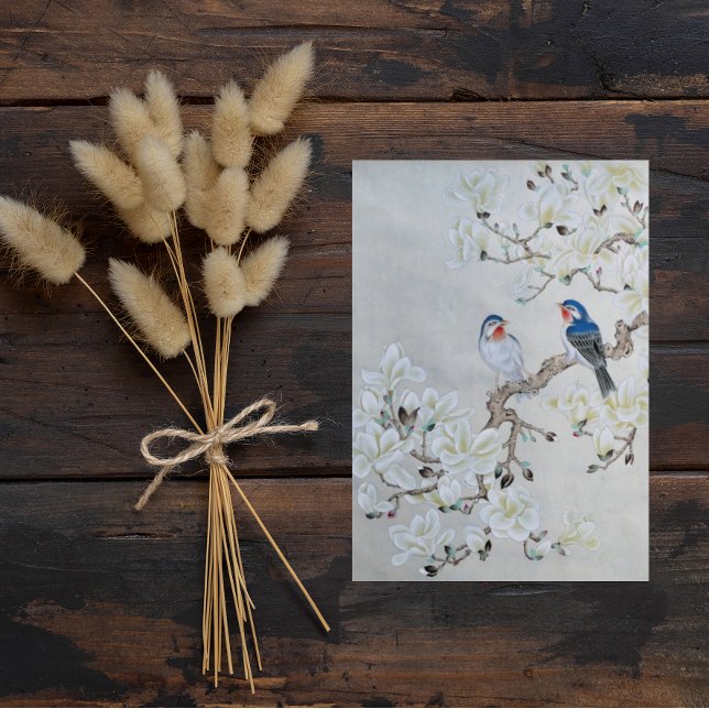 Cartão Postal Magnésia Branca (Criador carregado)