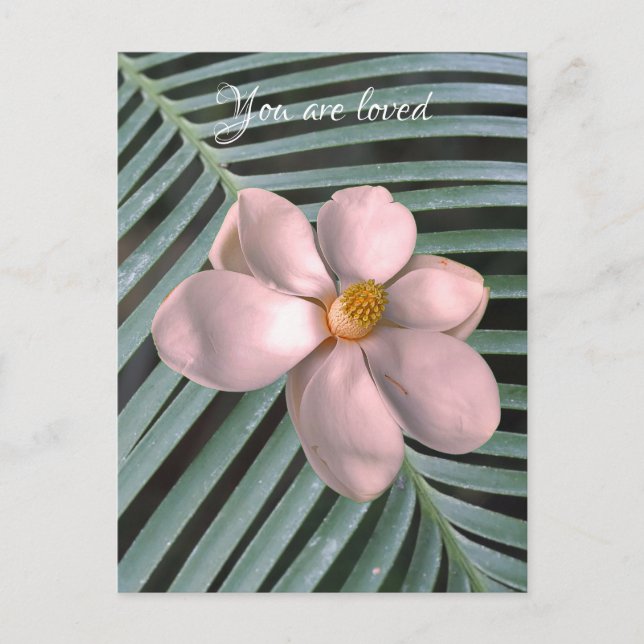 Cartão Postal Magnolia art (Frente)