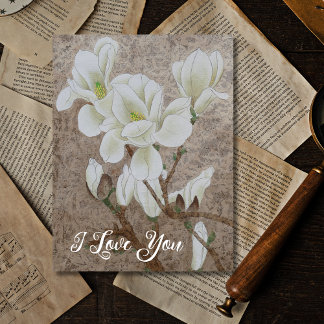 Cartão Postal Magnolia Blossom