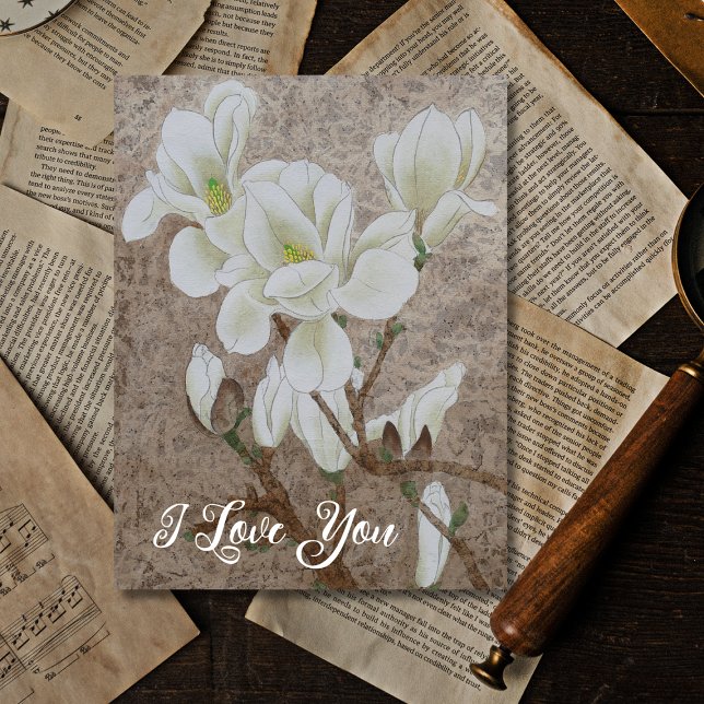 Cartão Postal Magnolia Blossom (Criador carregado)