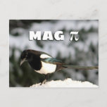 Cartão Postal Magpi Postcard<br><div class="desc">This silly postcard features a photo of a magpie in the snow. Above the magpie,  the text says,  "Mag" along with the pi symbol. Give your math-loving (or bird-loving!) friends or family a chuckle with this fun postcard. Makes a great gift for a math teacher!</div>
