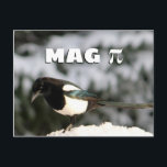 Cartão Postal Magpi Postcard<br><div class="desc">This silly postcard features a photo of a magpie in the snow. Above the magpie,  the text says,  "Mag" along with the pi symbol. Give your math-loving (or bird-loving!) friends or family a chuckle with this fun postcard. Makes a great gift for a math teacher!</div>