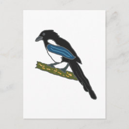 Cartão Postal Magpie