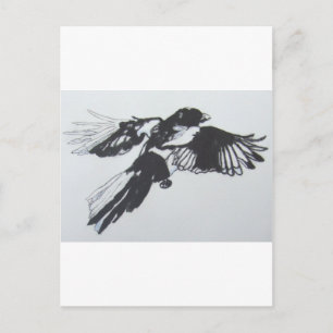 Cartão Postal Magpie
