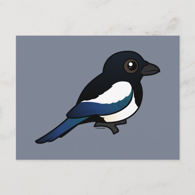 Cartão Postal Magpie de bico preto (Frente)