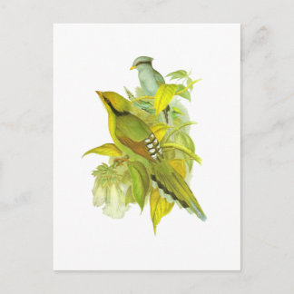 Cartão Postal Magpie Verde Comum