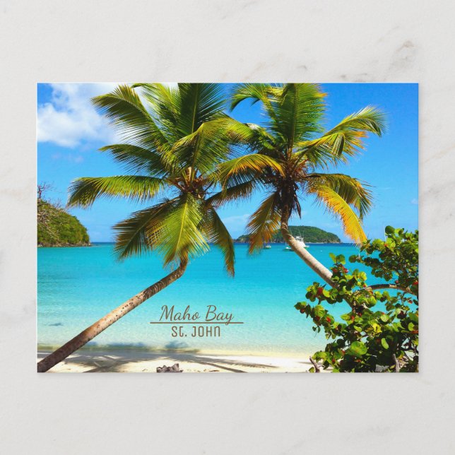 Cartão Postal Maho Bay Beach St. John Postcard (Frente)