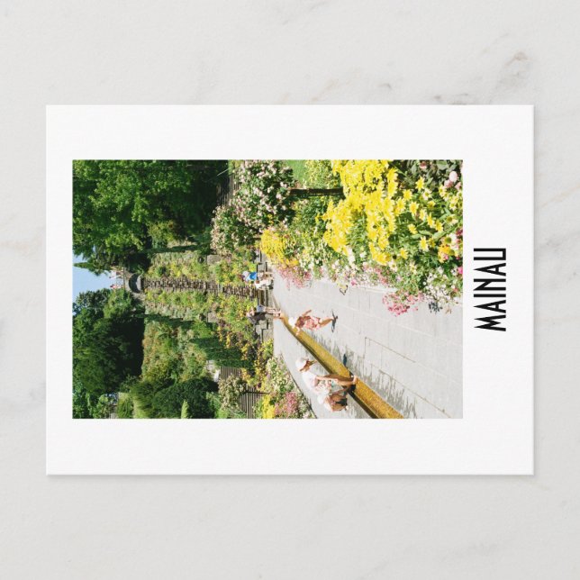 Cartão Postal Mainau Postcard (Frente)