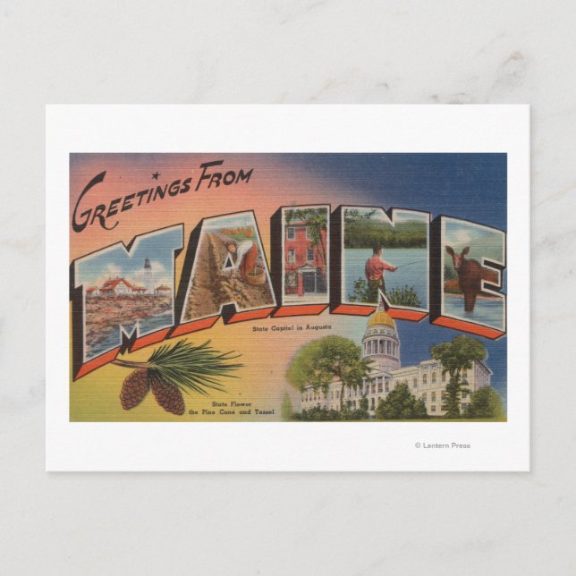 Cartão Postal Maine (Capital Estatal/Flor)Letra Large (Frente)