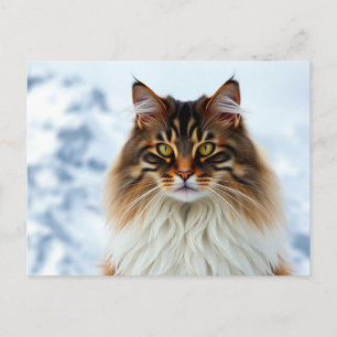 Cartão Postal Maine Coon Cat em um retrato de neve selvagem