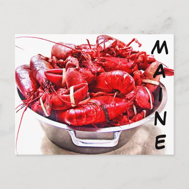 Cartão Postal Maine Lobster (Frente)