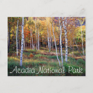 Cartão Postal Maine, Parque Nacional Acadia, Outono