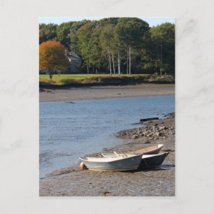 Cartão Postal Maine Rowboat Water Photo