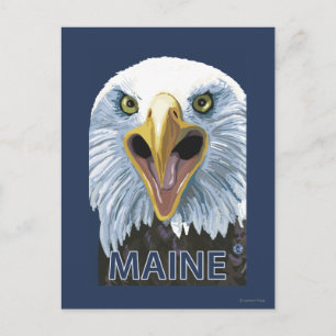 Cartão Postal MaineEagle em Cima