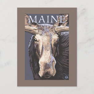Cartão Postal MaineMoose Aproximada