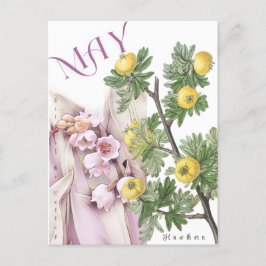 Cartão Postal Maio Mês Flor Lily do Rico Hawthorn do Vale