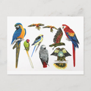 Cartão Postal mais e mais peças para todos os seus presentes