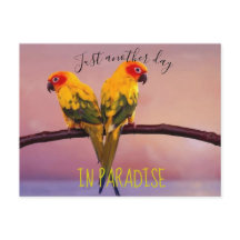 Mais um dia no PARAÍSO