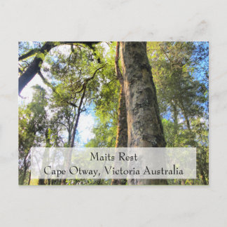 Cartão Postal Maits Rest RainForest Walk Cape Otway Victoria AU