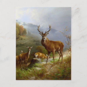 Cartão Postal Majestade Deer ~