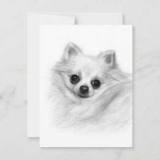 Cartão Postal Majestade Furry - Pintado com a Mão original Chihu