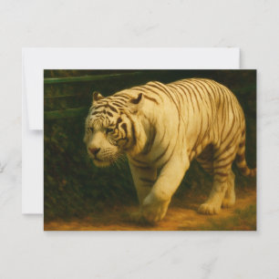 Cartão Postal Majestade Tigre Branca - Impressão de Arte de Vida