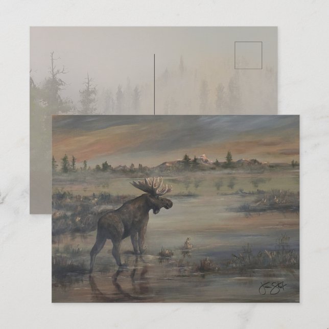 Cartão Postal Majestic Moose (Frente/Verso)
