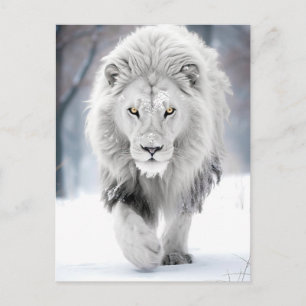Cartão Postal Majestoso Leão Branco em Design de Paisagem Invern