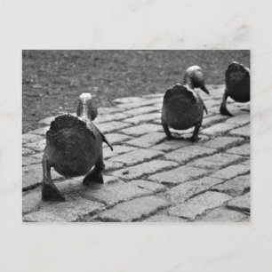 Cartão Postal Make Way for Ducklings