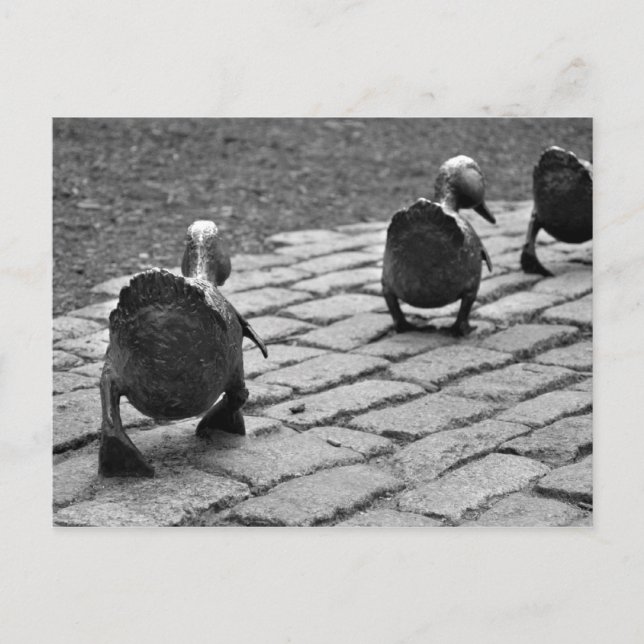 Cartão Postal Make Way for Ducklings (Frente)
