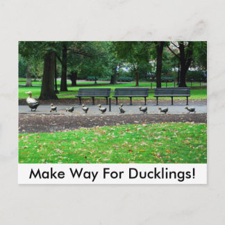 Cartão Postal Make Way For Ducklings!