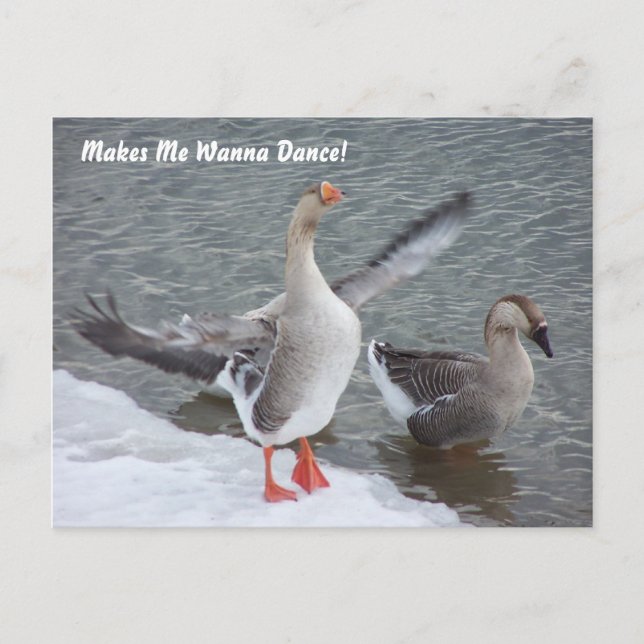 Cartão Postal Makes Me Wanna Dance! (Frente)